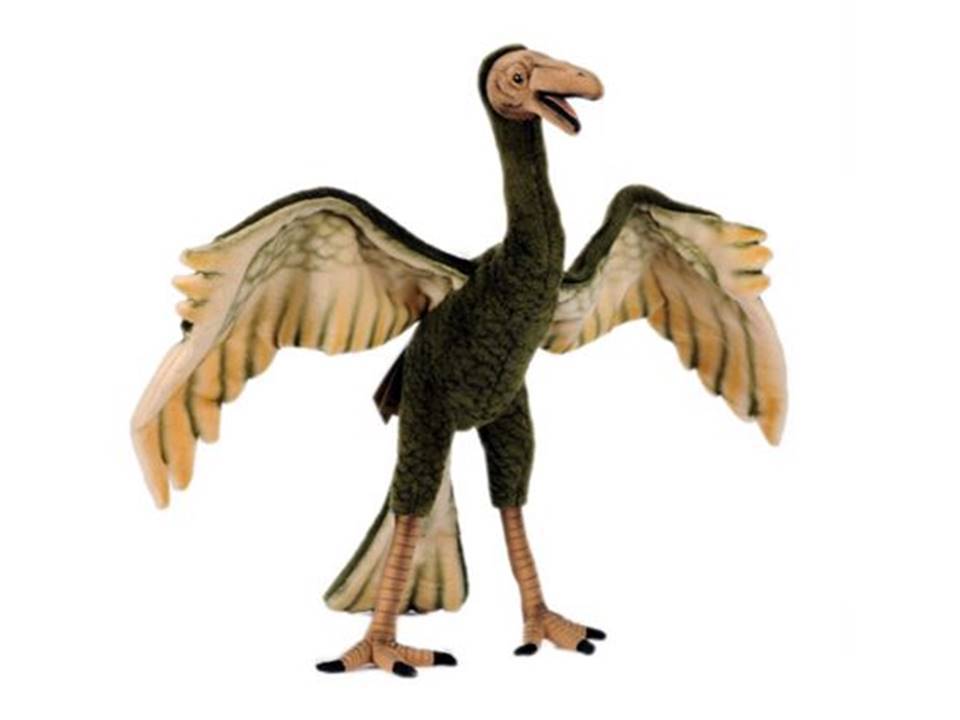 archaeopteryx plush